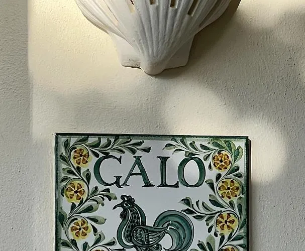 Daire 233 Galo Apartment, 2 Schlafzimmer *